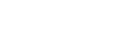 Wizaz24.pl logo